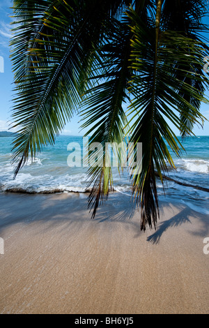 Das idyllische Paradies Strand von Punta Uva in der Nähe von Puerto Viejo de Talamanca in der Provinz Limón, südöstlichen Costa Rica Stockfoto