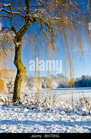 Das gefrorene Wasser eines kleinen Sees, bekannt als Liden Lagune in Swindon, Wiltshire, England, UK, aufgenommen im Januar 2010 Stockfoto