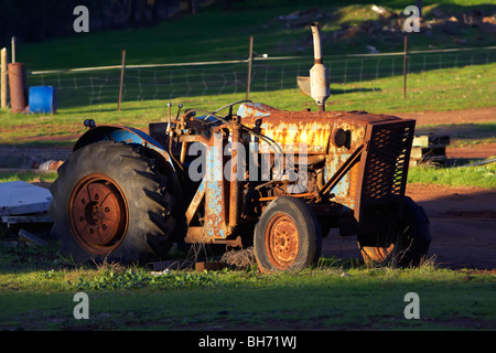 Verlassene rostigen alten Traktor Stockfoto