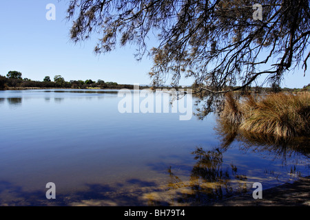 Canning River Regional Park, Westaustralien. Stockfoto