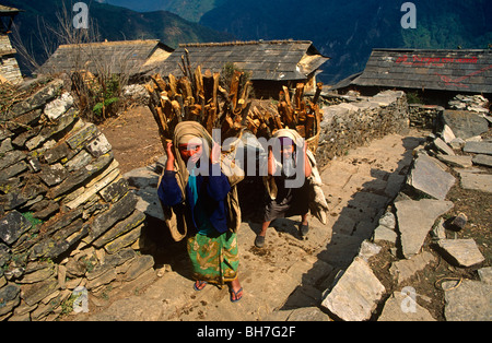 Zwei junge Dorffrauen pausieren während des Tragens Brennholz in Doko Körben auf dem Rücken in Zentral-Nepal Himalaya. Stockfoto