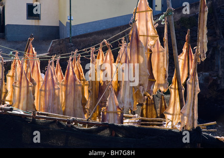 Trocknenden Fisch am Dorf von Camara de Lobos in der Nähe von Funchal, Madeira Stockfoto