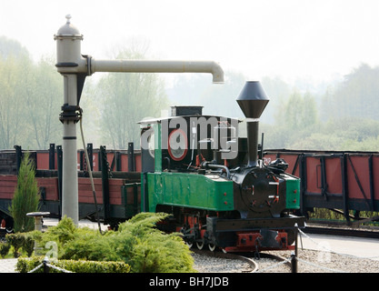 Schmalspurbahn, Museum, Wenecja, Großpolen, Polen Stockfoto