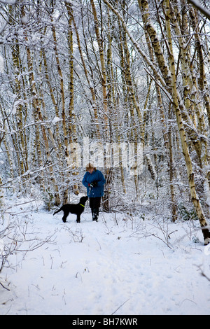 Lady walking Hund auf einem Wanderweg durch Schnee bedeckt Birkenbäume in einem Wald in der Nähe von Stockton Heath, Warrington Stockfoto