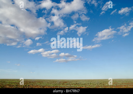 mitten in nirgendwo australische Wüste in der Nähe von Alice Springs nach Regen Stockfoto