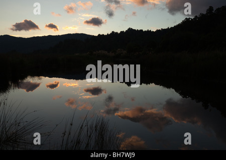 Cloud-Reflexionen an Mokau Flussmündung, eine beliebte Forellen-Fischerei Lake Waikaremoana, Nordinsel, Neuseeland Stockfoto