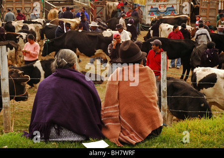 Ecuador, Otavalo, seitlichen Blick auf ein älteres Paar mit grauen Haaren und einen schwarzen Hut, verpackt in einem lila Poncho und eine braune Decke Stockfoto