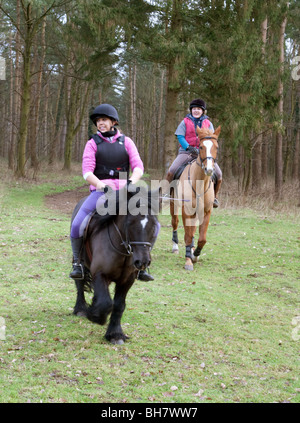 Zwei Mädchen im Teenageralter Reiten ihre Pferde und Pony durch den Wald; Thetford Forest, Norfolk, Großbritannien Stockfoto