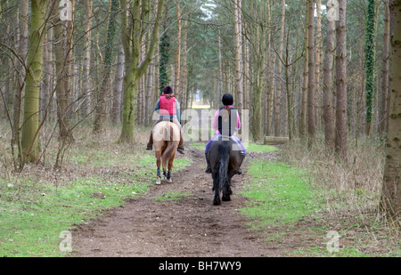 Zwei Mädchen im Teenageralter Reiten ihre Pferde und Pony durch den Wald; Thetford Forest, Norfolk, Großbritannien Stockfoto