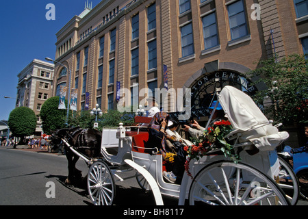 Reiten in Touristen öffnen Pferdekutsche auf Government Street, Eaton Center im Hintergrund, Victoria, BC, Kanada Stockfoto