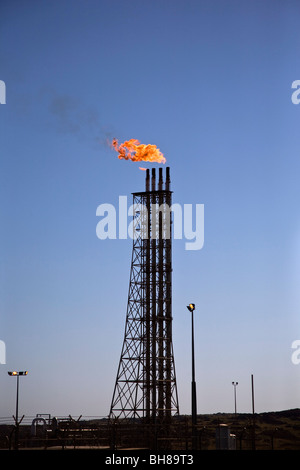 Flamme brennenden über Rohre in einer Kraftstoffraffinerie, Karatha, Western Australia, Australien Stockfoto