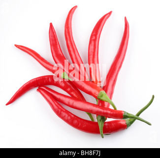 Schoten würzigen roten Chilischoten auf weißem Hintergrund Stockfoto