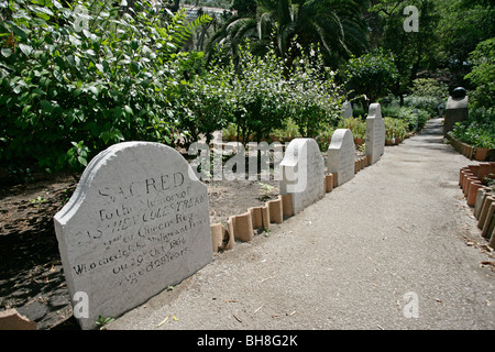 Der Grabstein eines Matrosen in Trafalgar Friedhof in Gibraltar, England kleinen Gebiet im Mittelmeer. Stockfoto