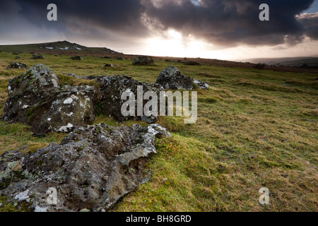 Sourton ren. Sourton Down. Devon. UK Stockfoto