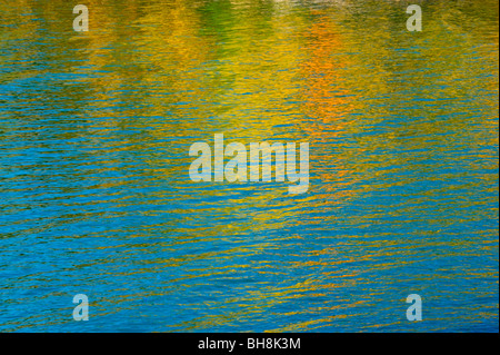 Aspen Reflexionen im Stausee, Kananaskis Country, Ontario, Kanada Stockfoto