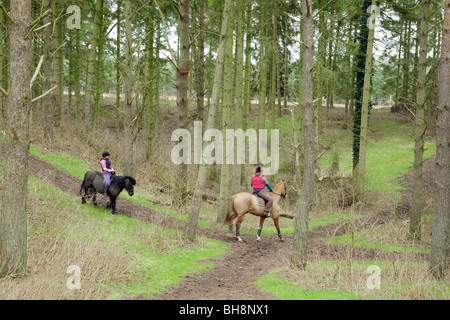 Zwei Mädchen im Teenageralter Reiten ihre Pferde und Pony durch den Wald; Thetford Forest, Norfolk, Großbritannien Stockfoto