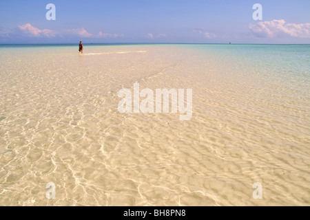 ein Urlauber watet in einem sandigen Spucke im türkisfarbenen Meerwasser bei Ebbe vor Nungwi Beach, das Tropenparadies in Sansibar Stockfoto