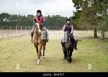 Zwei Mädchen im Teenageralter Reiten ihre Pferde und Pony durch den Wald; Thetford Forest, Norfolk, Großbritannien Stockfoto