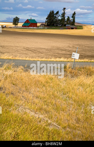 Blick über Goldene Getreidefelder in Richtung einer kultigen roten aus Holz Scheune, Washington State, USA Stockfoto