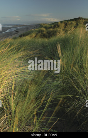 Dünen am Strand von Irvine Ayrshire Schottland Stockfoto