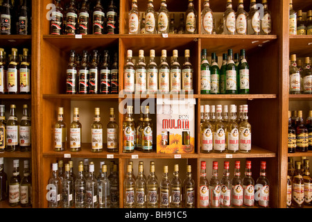 Kubanischen Rum, Camagueey, Karibisches Meer, Kuba Stockfoto