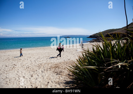 Shell Beach Herm Island Stockfoto