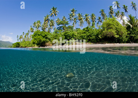 Palmen gesäumten Strand von Tahulandang Island, Sangihe-Talaud-Inseln, Sulawesi, Indonesien Stockfoto