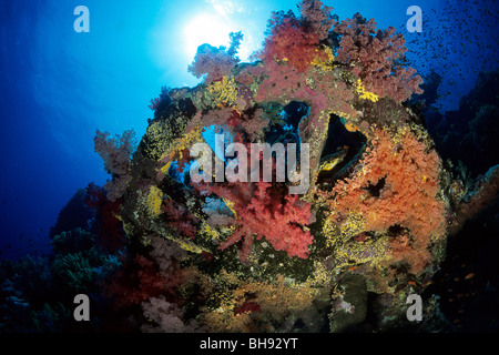 Bahn-Rad von Numidien Wrack, Brother Islands, Rotes Meer, Ägypten Stockfoto