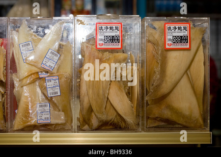 Getrocknete Haifischflossen im Store zu verkaufen, Chinatown, Singapur Stockfoto