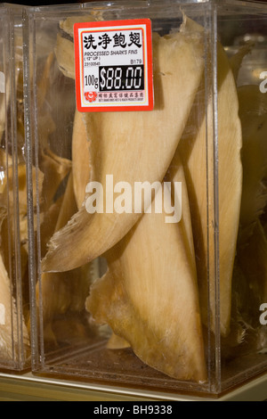 Getrocknete Haifischflossen im Store zu verkaufen, Chinatown, Singapur Stockfoto