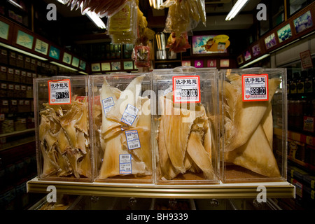 Getrocknete Haifischflossen im Store zu verkaufen, Chinatown, Singapur Stockfoto