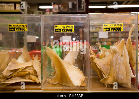 Getrocknete Haifischflossen im Store zu verkaufen, Chinatown, Singapur Stockfoto