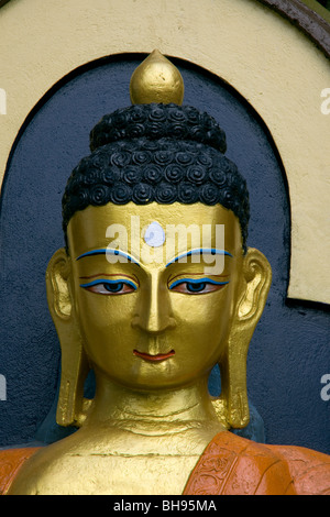 Goldene Statue der Kopf des Buddha in der Nähe von Swayambunath stupa Stockfoto