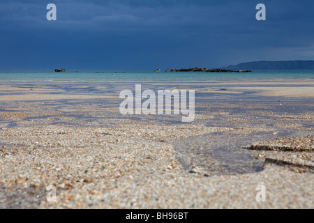 Shell Beach Herm Island Stockfoto