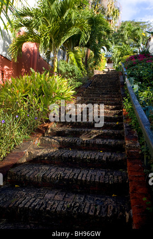 Unten auf die berühmte 99 Stufen oberhalb der Innenstadt von Charlotte Amalie, St. Thomas, USVI. Stockfoto