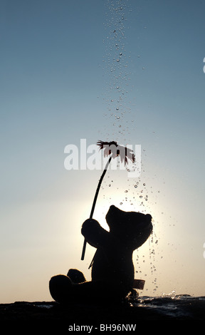 Teddy Bär Holding eine Blume mit Wassertropfen gießen über Sie bei Sonnenuntergang. Noch immer leben Silhouette Stockfoto