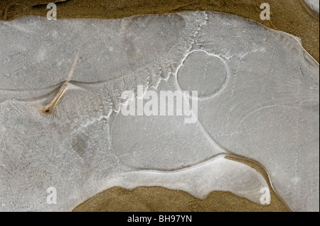 Eis-Muster im Wattenmeer von Little Sandhill Creek, Dinosaur Provincial Park, Alberta, Kanada Stockfoto