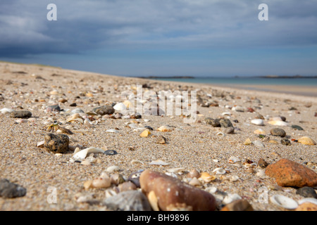 Shell Beach Herm Island Stockfoto