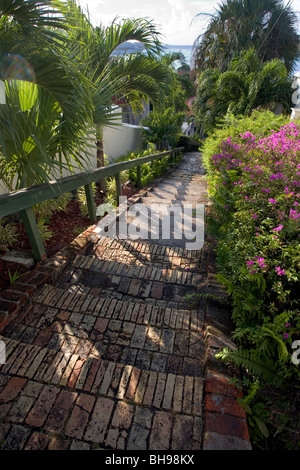 Oben auf die berühmte 99 Stufen oberhalb der Innenstadt von Charlotte Amalie, St. Thomas, USVI. Stockfoto