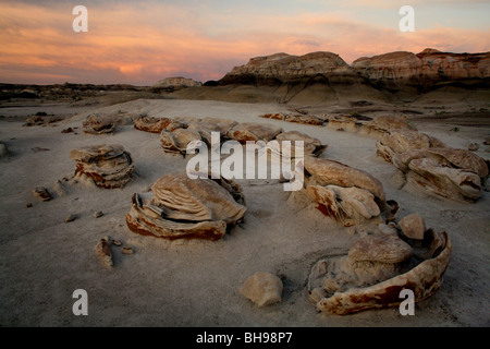 Seltsame Felsformationen in den Bisti Badlands im Nord-westlichen New Mexico Stockfoto