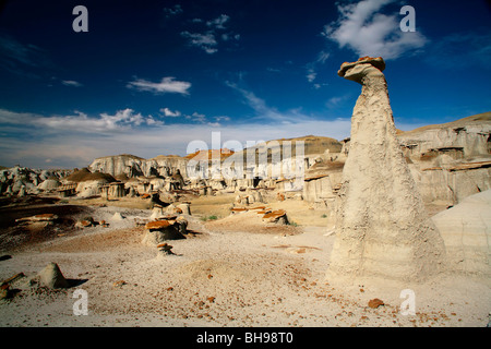 Seltsame Felsformationen in den Bisti Badlands im Nord-westlichen New Mexico Stockfoto