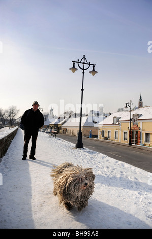 Winter-Szene in Szentendre Ungarn mit einem Mann zu Fuß ein traditioneller ungarischer Puli Schäferhund Stockfoto