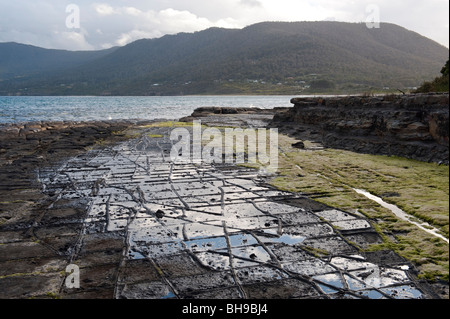 Das tesseliert Pflaster in der Nähe von Eagle Hawk Hals auf der Tasman Halbinsel, Tasmanien, Australien Stockfoto