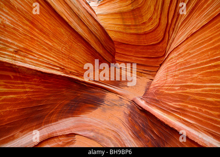 Coyote Buttes, die Welle Stockfoto