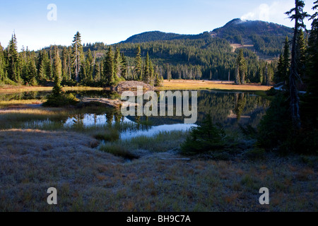 Blick über den See nach Mt. Washington aus Paradise Wiesen verboten Plateau Strathcona Park Vancouver Island BC Kanada im Oktober Stockfoto