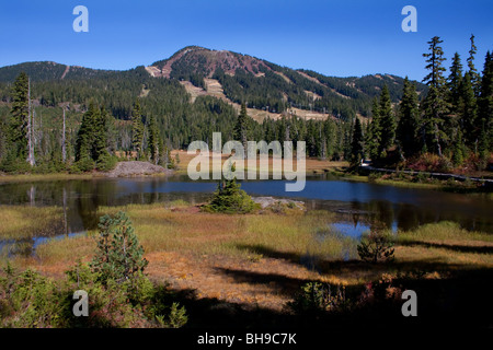 Blick über den See nach Mt. Washington aus Paradise Wiesen verboten Plateau Strathcona Park Vancouver Island BC Kanada im September Stockfoto