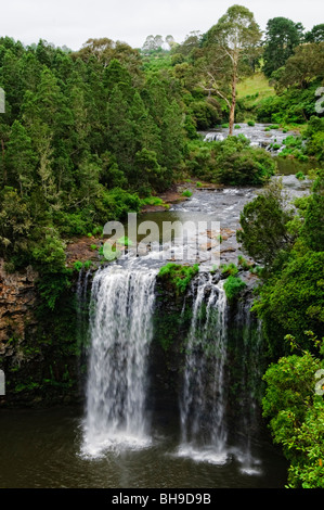 DORRIGO, New South Wales, Australien – die Dangar Falls fallen über einen felsigen Steilhang in der Nähe der Stadt Dorrigo. Der Wasserfall, der sich entlang des malerischen Waterfall Way im nördlichen Zentrum von New South Wales befindet, taucht in einen natürlichen Pool ein, der von üppiger Vegetation umgeben ist. Stockfoto