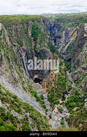 WOLLOMOMBI, New South Wales, Australien – Ein malerischer Aussichtspunkt bietet einen Blick auf die dramatischen Wollombi Falls im Oxley Wild Rivers National Park. Die Wasserfälle, die zu den höchsten Australiens gehören, stürzen sich in eine zerklüftete Schlucht entlang der landschaftlich reizvollen Route des Waterfall Way im nördlichen Zentrum von New South Wales. Stockfoto