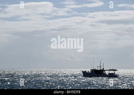 NORTH Stradbroke Island, Australien - ein Moreton Bay Cruiser gegen ein silbriges Meer North Stradbroke Island verankert, nur von Queenslands Hauptstadt Brisbane, ist der weltweit zweitgrößte Sand Insel und mit seinen kilometerlangen Sandstrände, die im Sommer ein beliebtes Urlaubsziel. Stockfoto