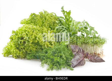 Frische rohe Kräuter und Gemüse auf weißem Hintergrund Stockfoto